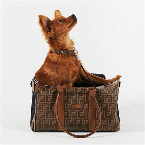 fendi hundebademantel|Pet Accessories .